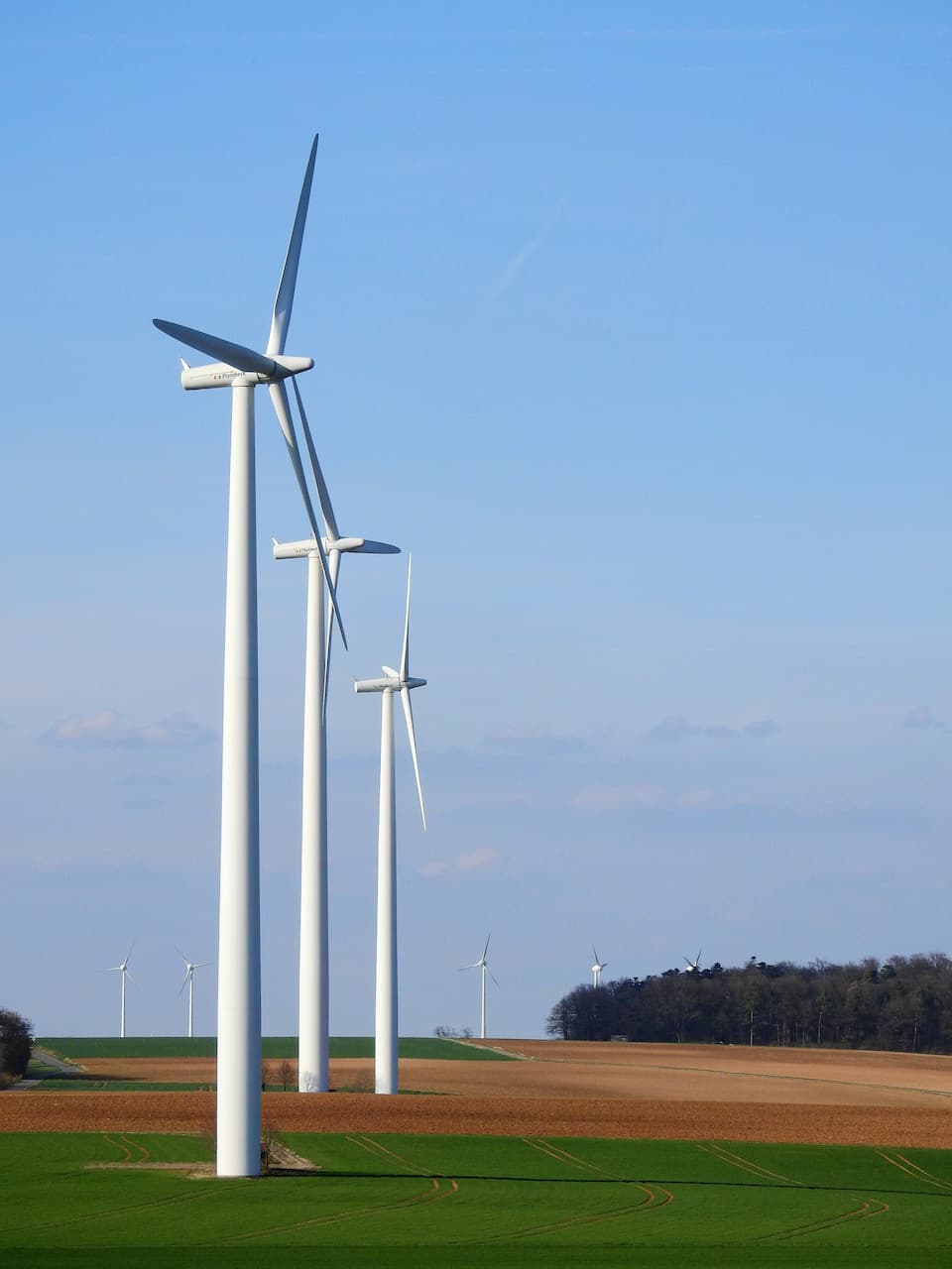 UK wants to fully switch to wind power by 2030(1)